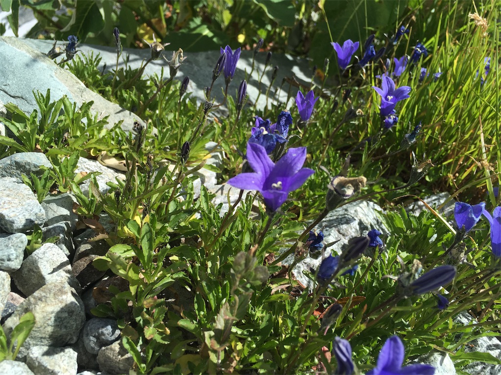 f:id:hidetou:20180802140216j:image