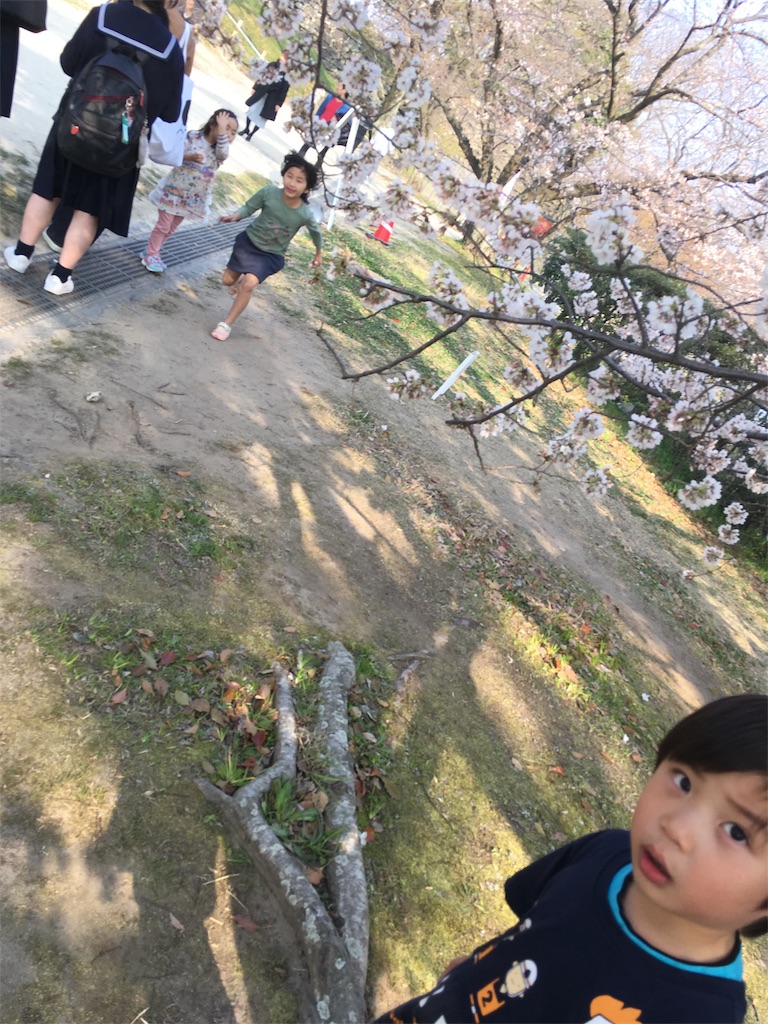 f:id:hidetou:20190326173000j:image