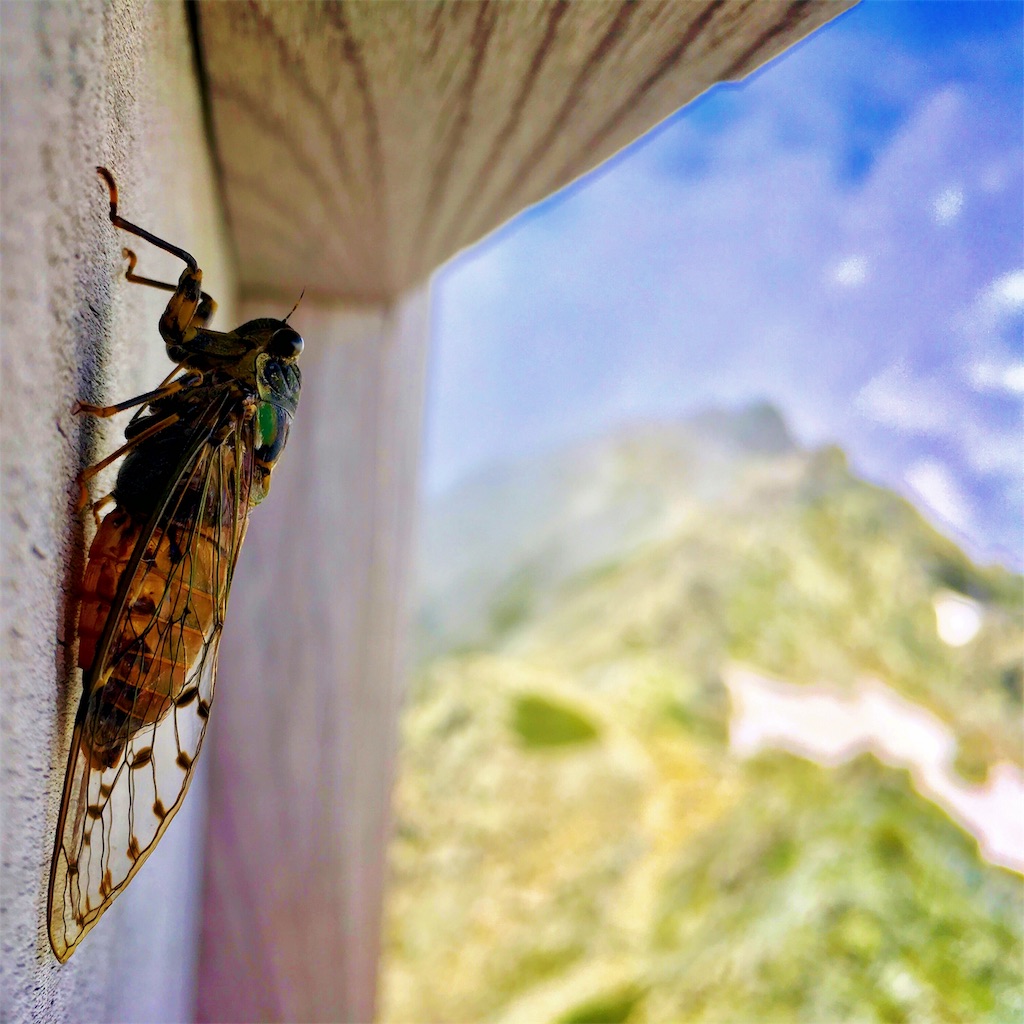 f:id:hidetou:20190728164013j:image