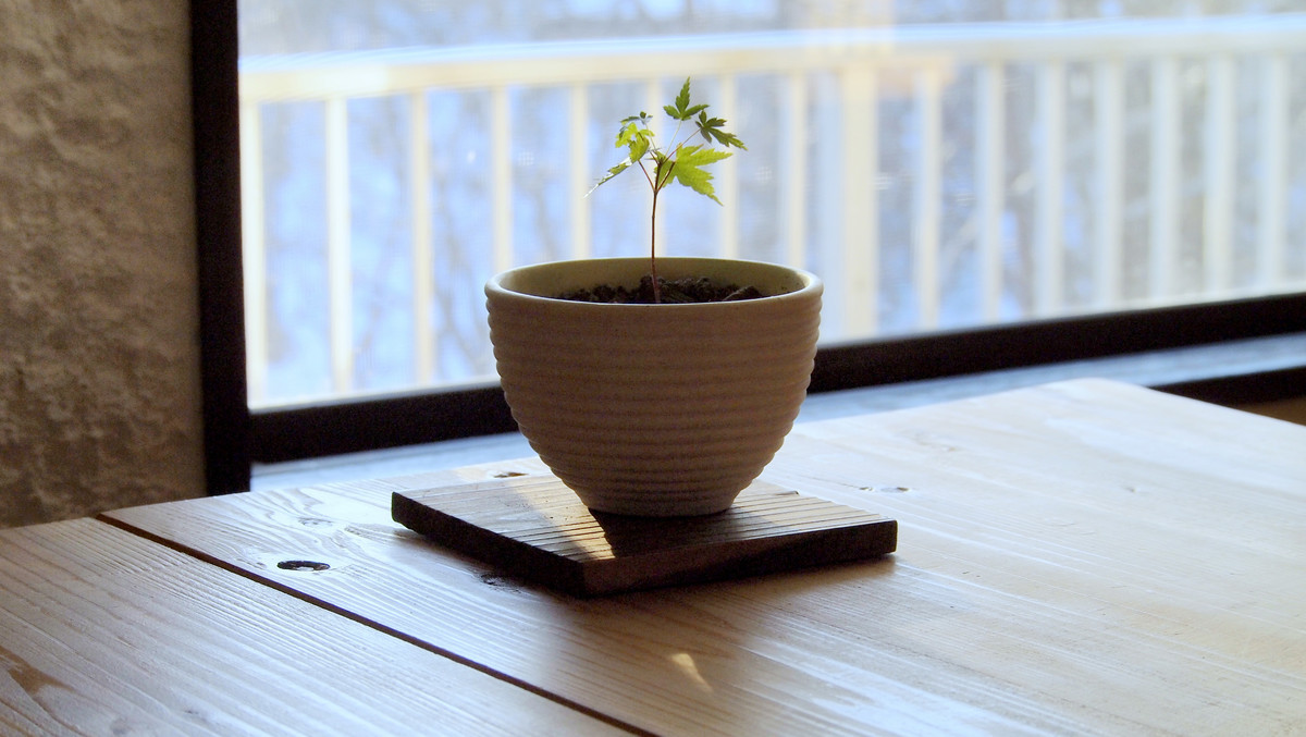 f:id:hidex7777:20180102153745j:plain