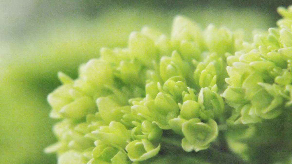 f:id:hidex7777:20200108181258j:plain