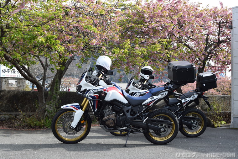 f:id:hideyoshi-motolife:20170302003255j:plain f:id:hideyoshi-motolife:20170302003255j:plain