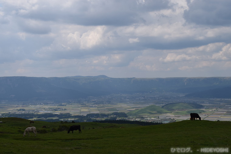 f:id:hideyoshi-motolife:20170524140827j:plain