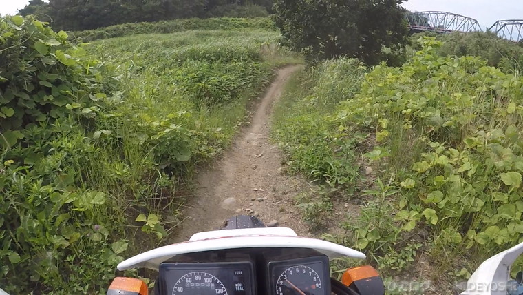 f:id:hideyoshi-motolife:20170626194714j:plain f:id:hideyoshi-motolife:20170626194714j:plain