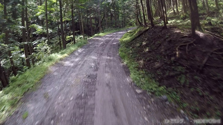 f:id:hideyoshi-motolife:20170907131156j:plain