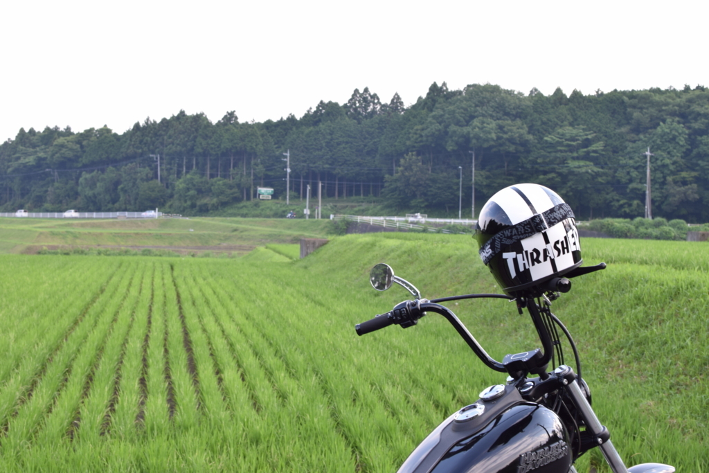 f:id:hideyoshi-motolife:20171111153905j:plain