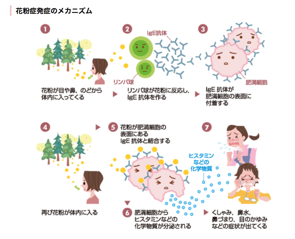 f:id:hideyoshi1537:20180320114956p:plain