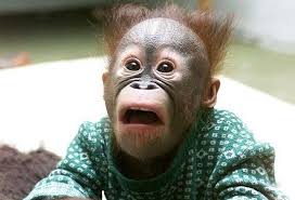 f:id:hideyoshi1537:20180401181035j:plain