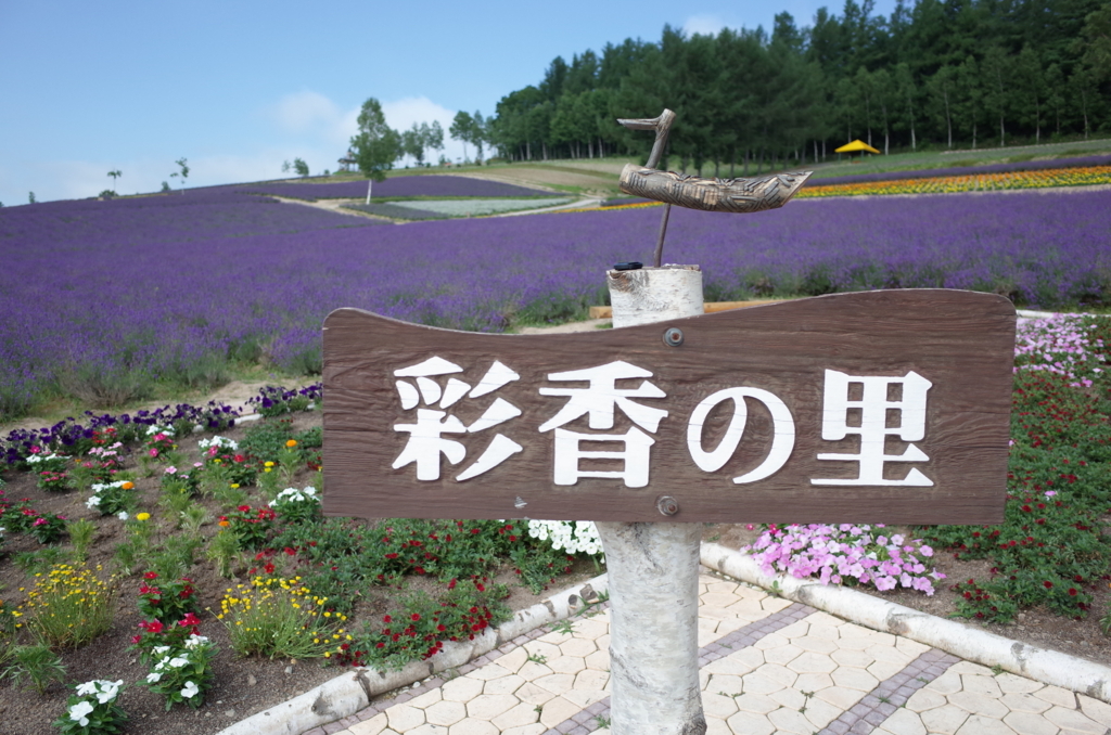 f:id:hideyoshi1537:20180731213728j:plain