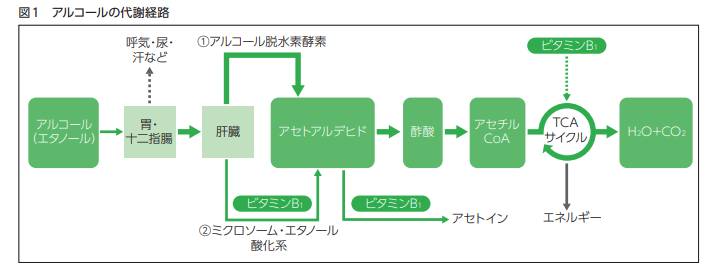 f:id:hideyoshi1537:20190701073326p:plain