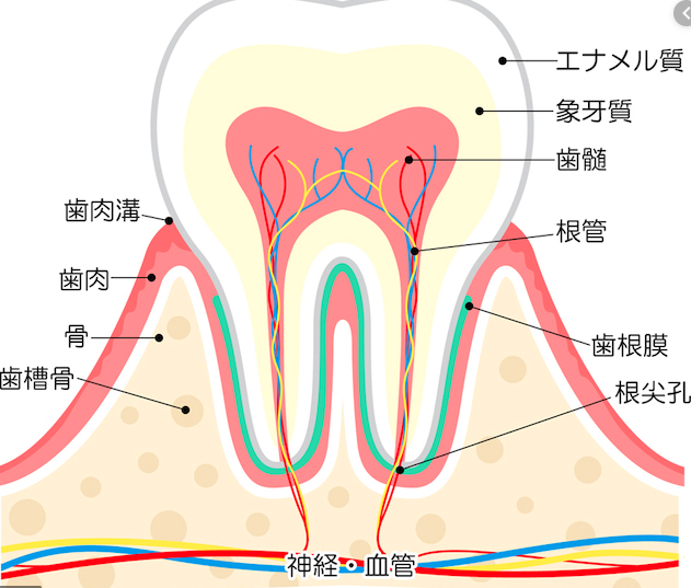 f:id:hideyoshi1537:20191003225740p:plain