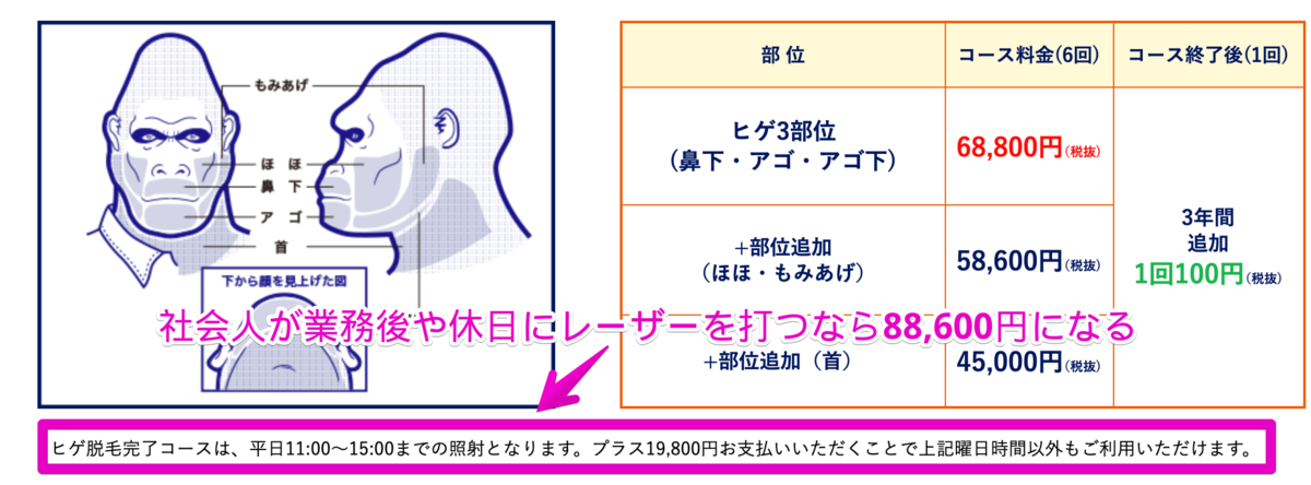 f:id:hideyoshi1537:20191127234646p:plain