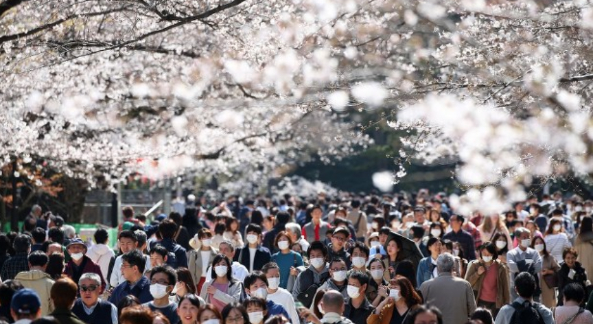 宴会はしなくても人は大勢いる上野公園