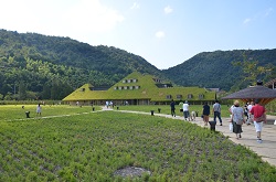 f:id:hideyuki8939:20160812143832j:image