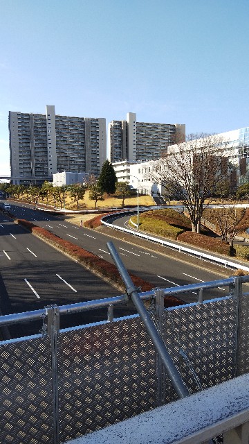 f:id:hidony2k7:20210319130127j:image