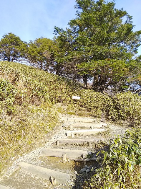 f:id:hie_pi_ta:20190701221950j:plain