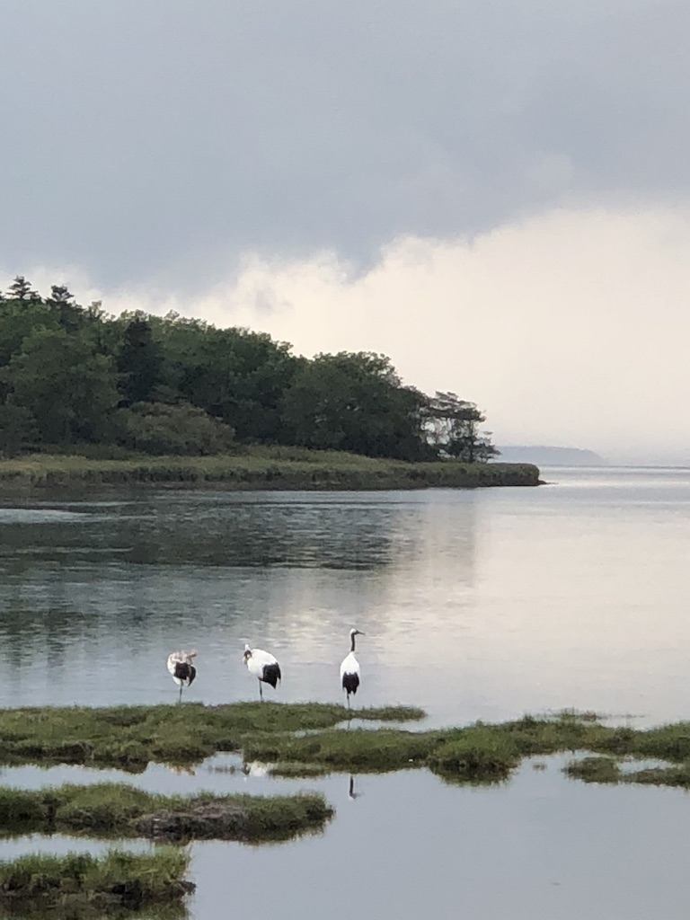 f:id:hieastedge:20191227141237j:plain f:id:hieastedge:20191227141237j:plain