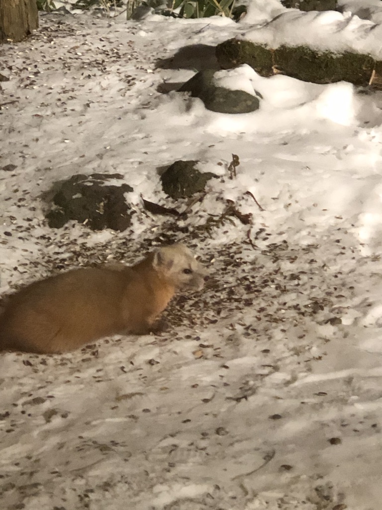 f:id:hieastedge:20191231191247j:plain f:id:hieastedge:20191231191247j:plain