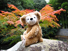 DUFFY