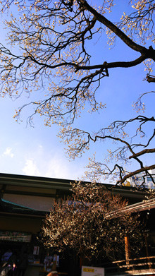 f:id:hiei6911:20180304144055j:image f:id:hiei6911:20180304144055j:image