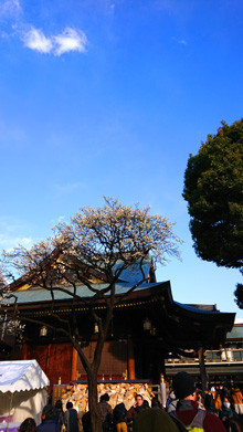 f:id:hiei6911:20180304145618j:image f:id:hiei6911:20180304145618j:image