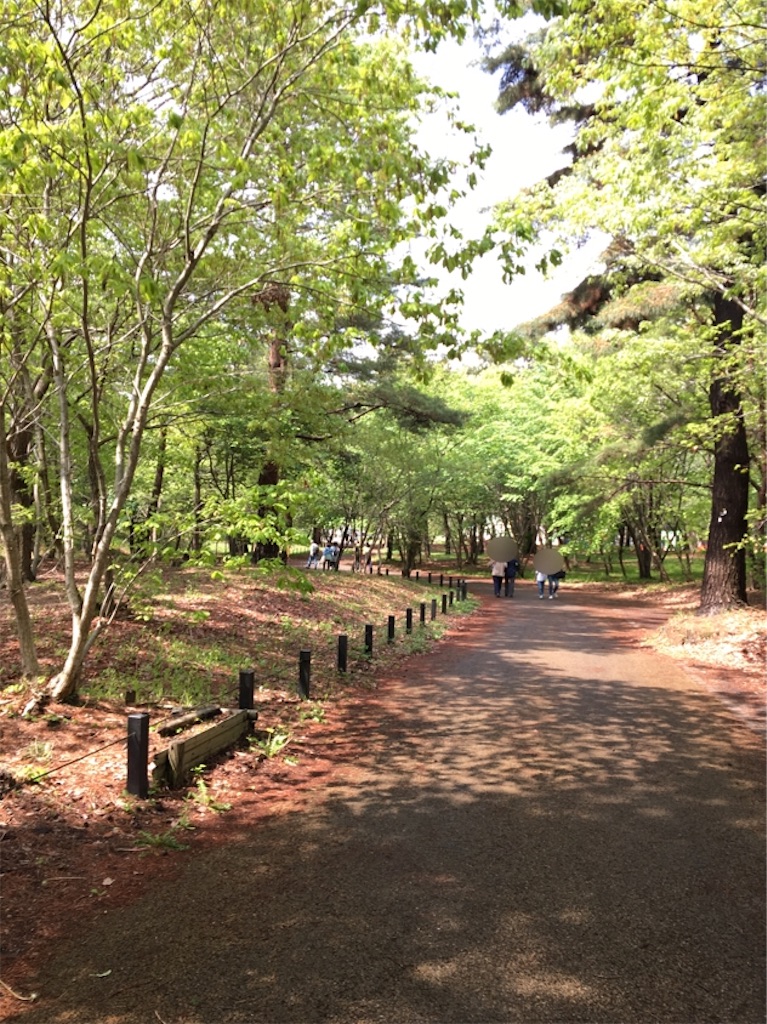 f:id:hiekashi:20190506083300j:image