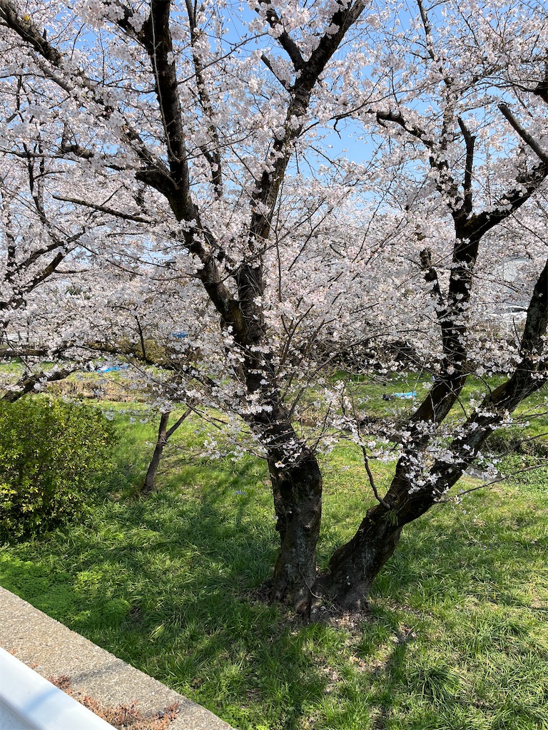 f:id:hietorimayu:20260330074600j:image f:id:hietorimayu:20260330074600j:image