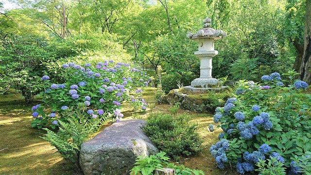 f:id:hifmi:20200223231007j:plain