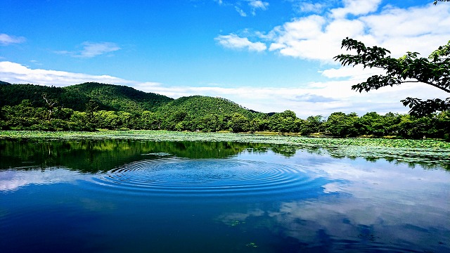 f:id:hifmi:20200223233411j:plain