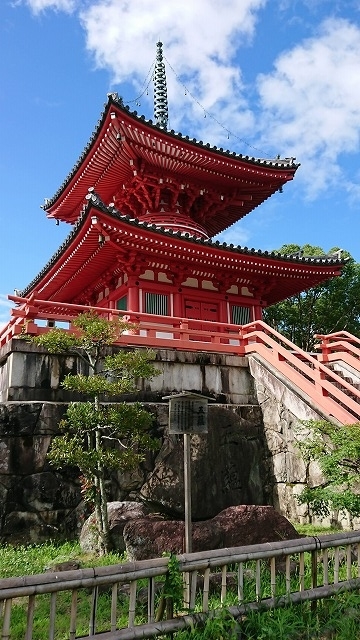 f:id:hifmi:20200223233441j:plain