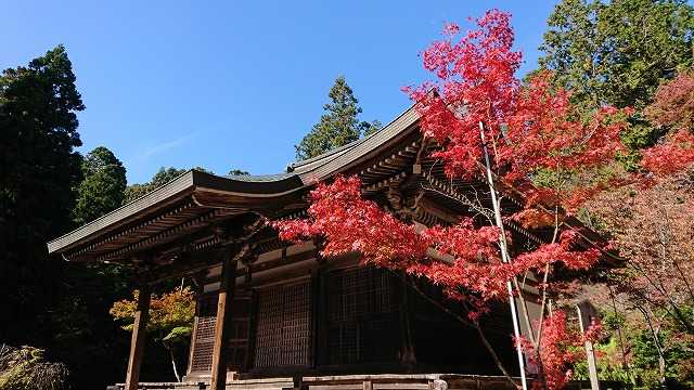 f:id:hifmi:20200224003131j:plain