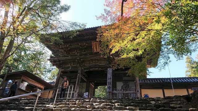 f:id:hifmi:20200224003134j:plain