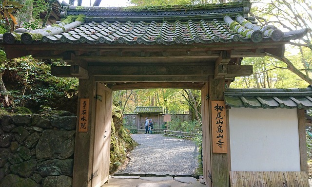 f:id:hifmi:20200224003140j:plain