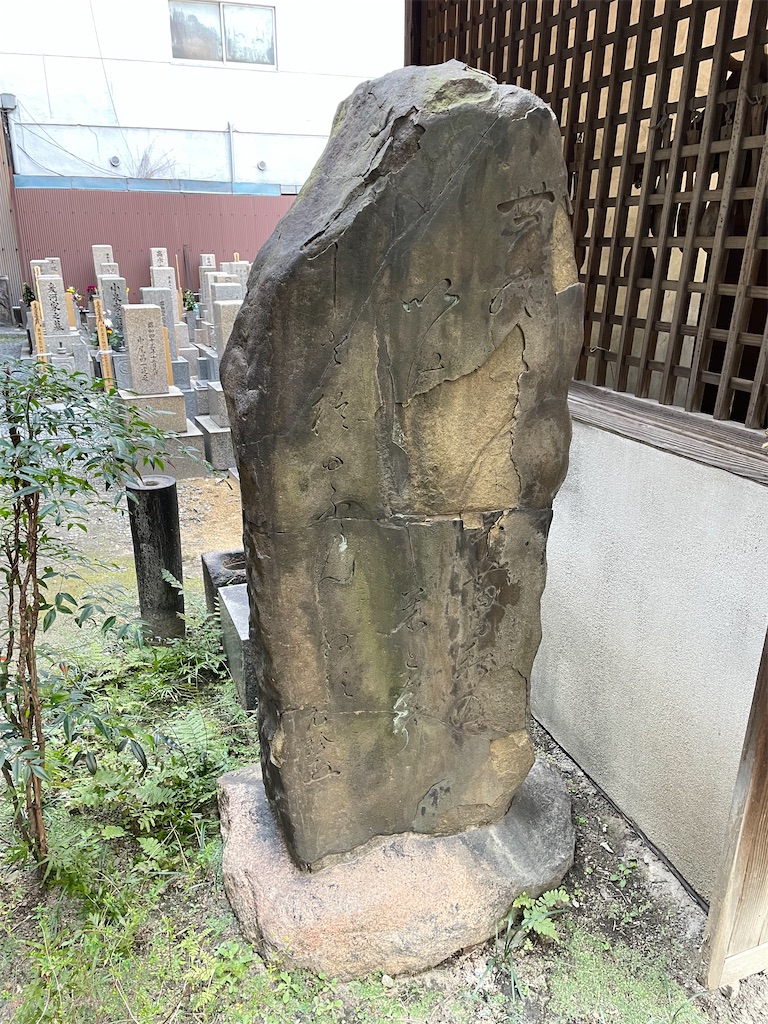 f:id:higachanntan:20220308165131j:image