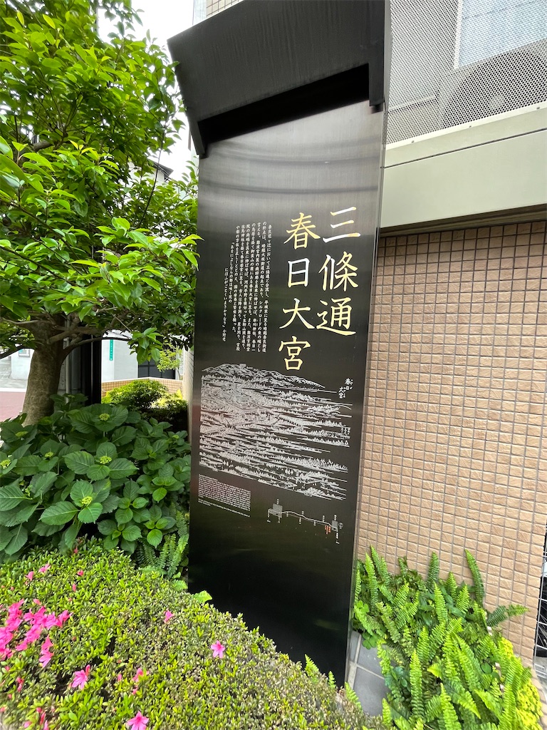 f:id:higachanntan:20220509233627j:image
