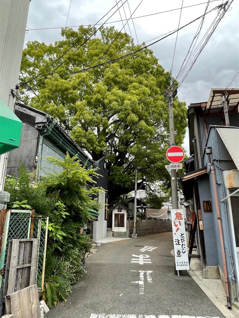 f:id:higachanntan:20220509234745j:image