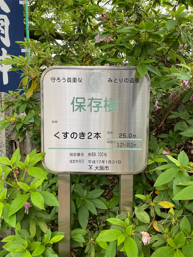 f:id:higachanntan:20220509234749j:image