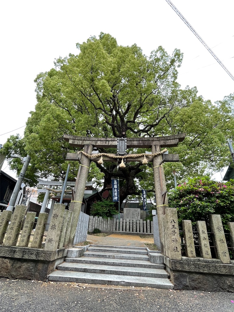 f:id:higachanntan:20220509234811j:image
