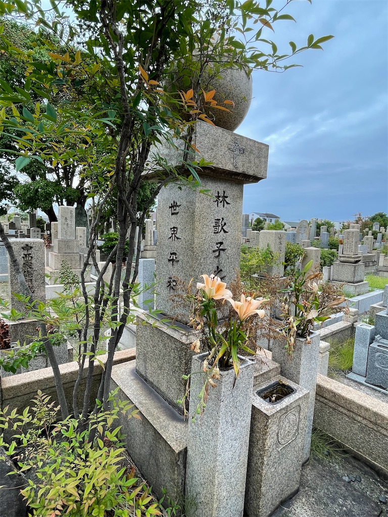 f:id:higachanntan:20220714133751j:image