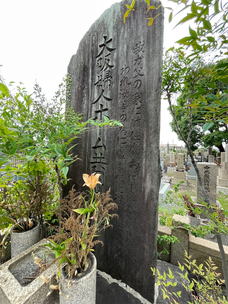 f:id:higachanntan:20220714133754j:image