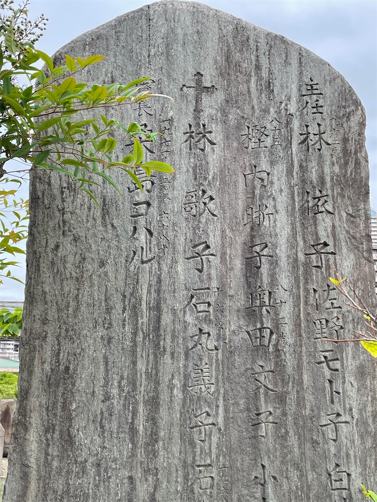 f:id:higachanntan:20220714133803j:image