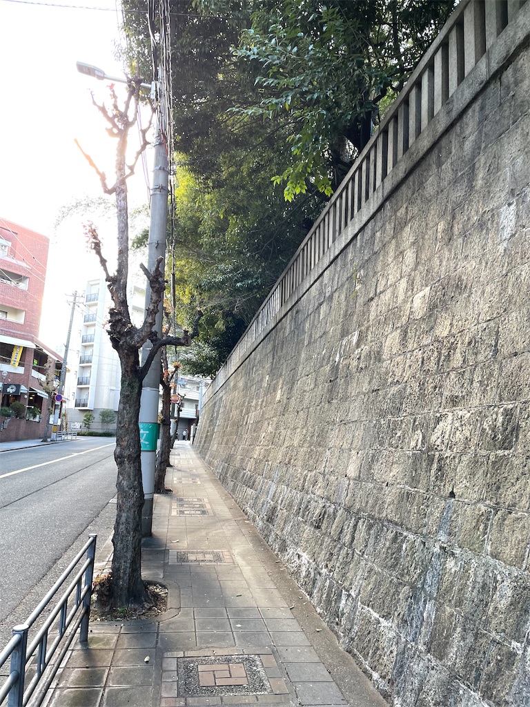 f:id:higachanntan:20230129205151j:image