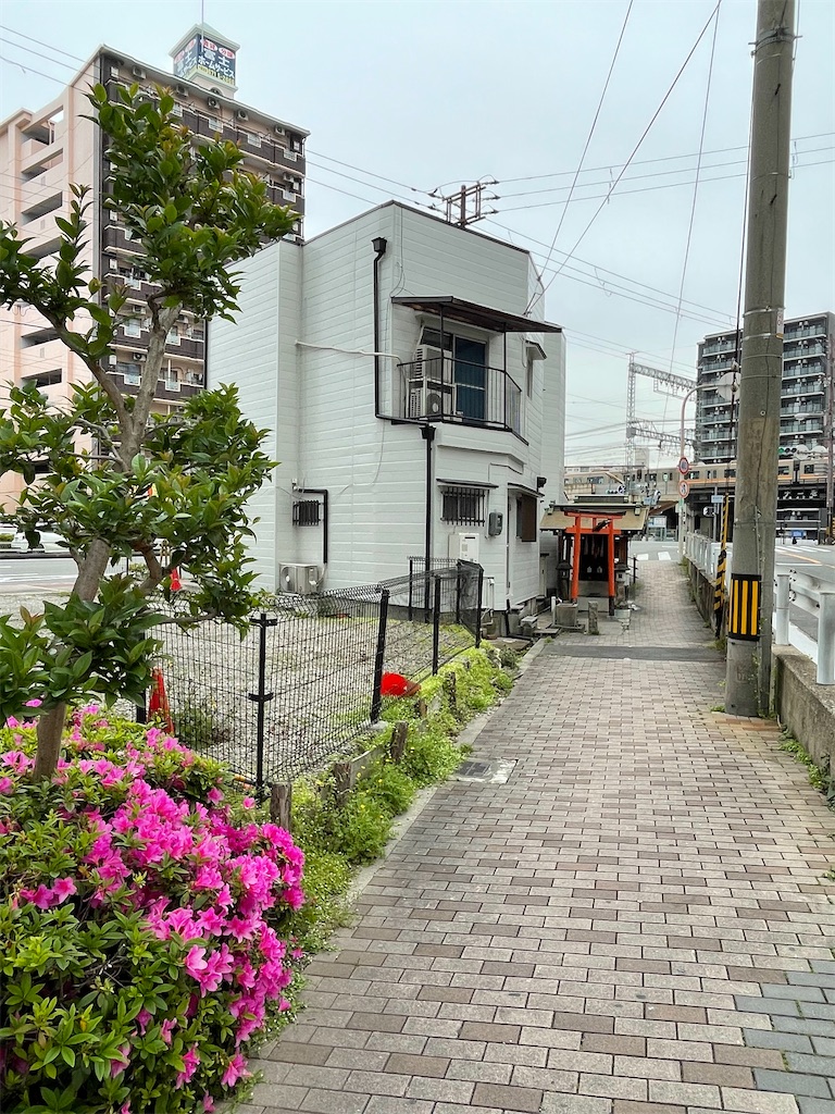 f:id:higachanntan:20230430230551j:image