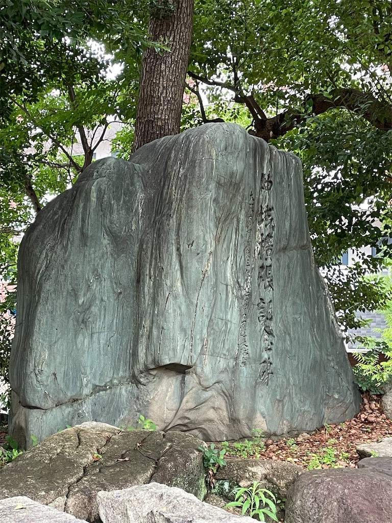 f:id:higachanntan:20230613104748j:image