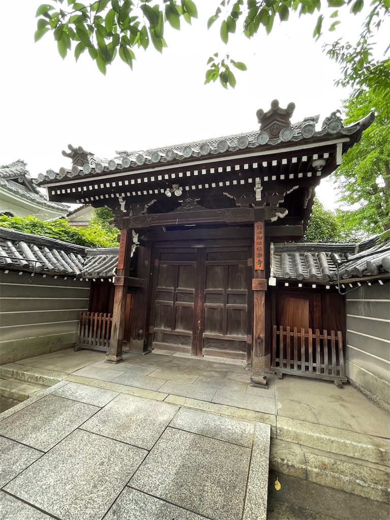 f:id:higachanntan:20230613111140j:image