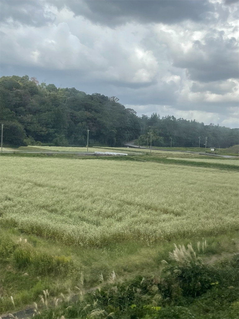 f:id:higachanntan:20231006141008j:image