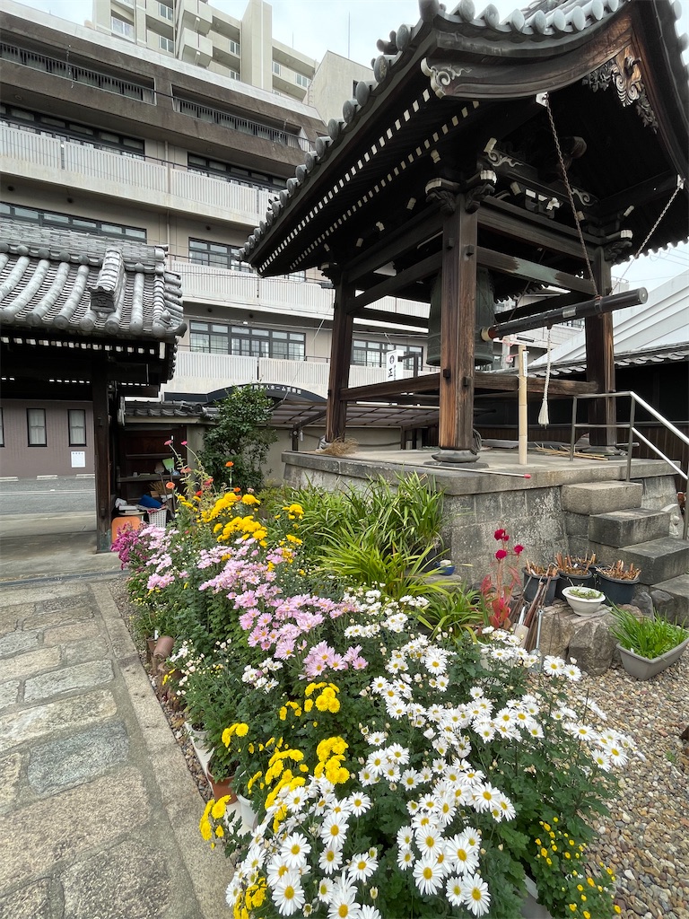 f:id:higachanntan:20231120104026j:image