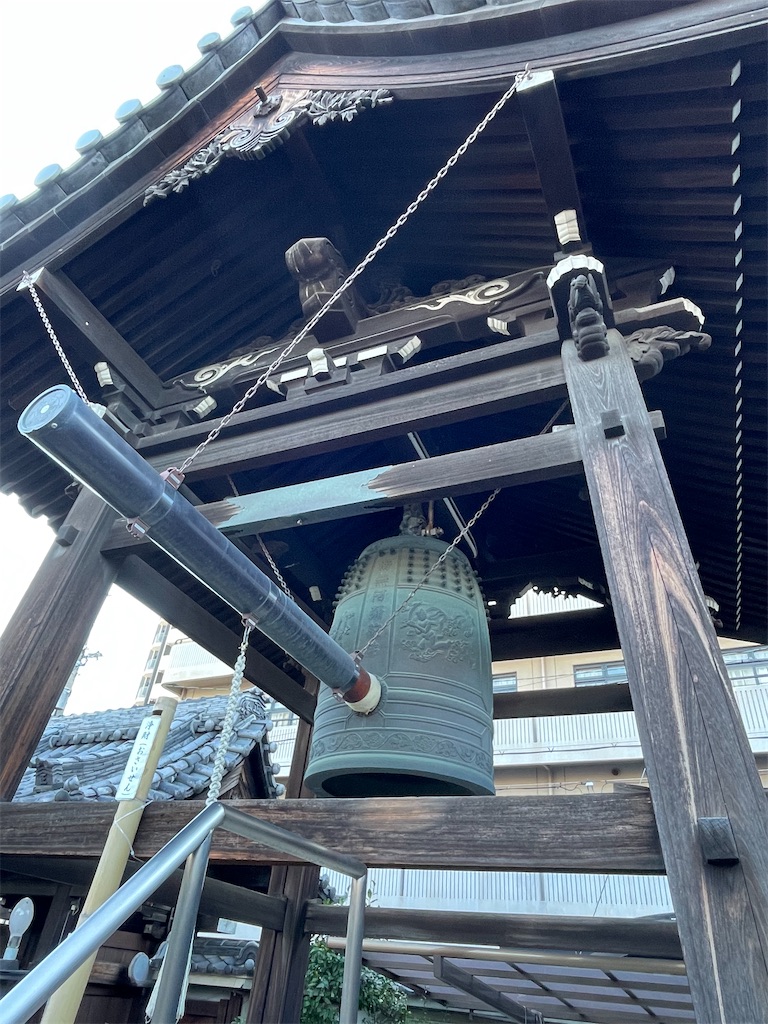 f:id:higachanntan:20231123121117j:image