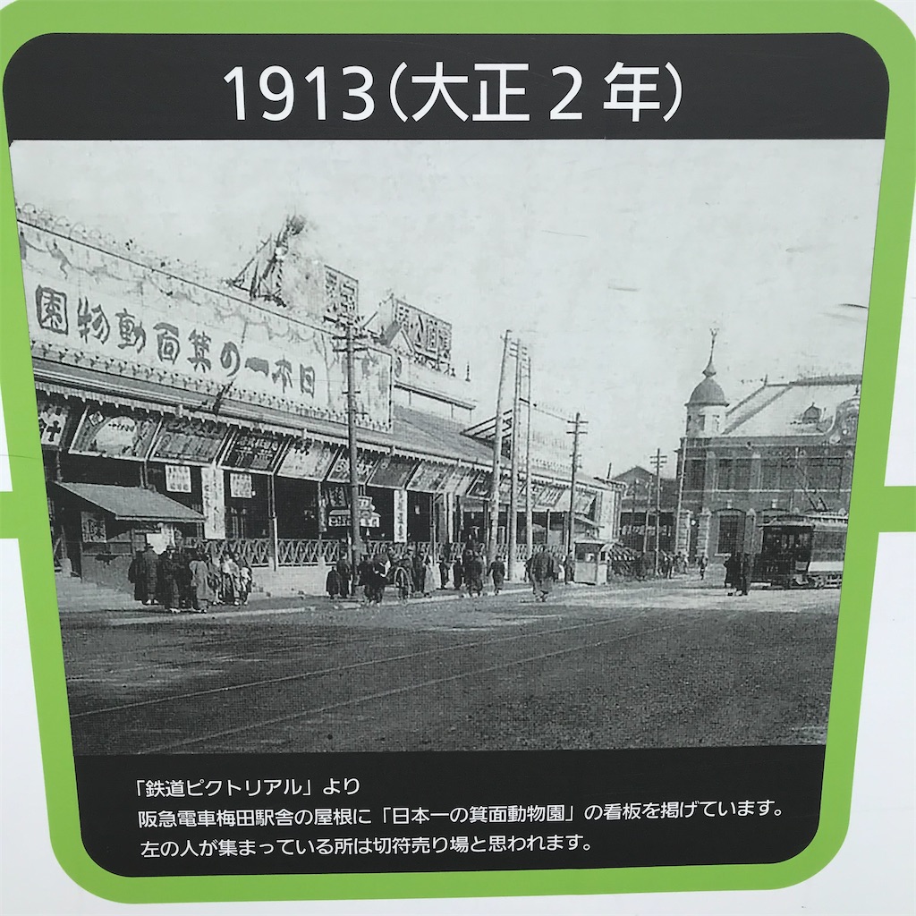 f:id:higachanntan:20240616054455j:image