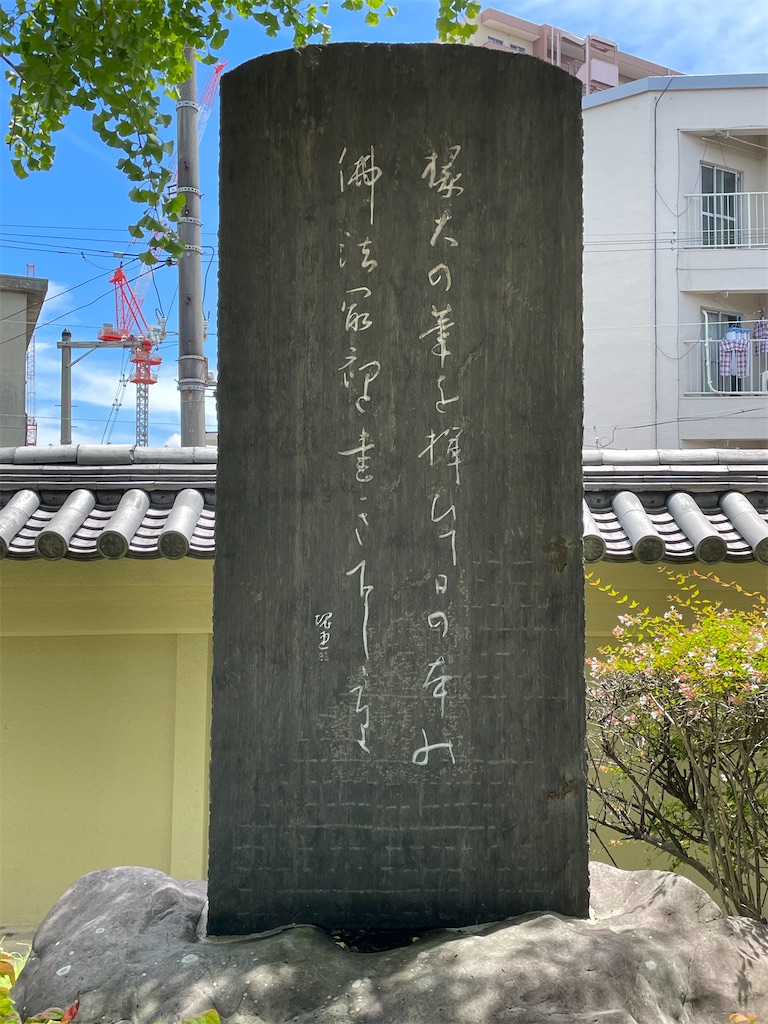 f:id:higachanntan:20240721071806j:image